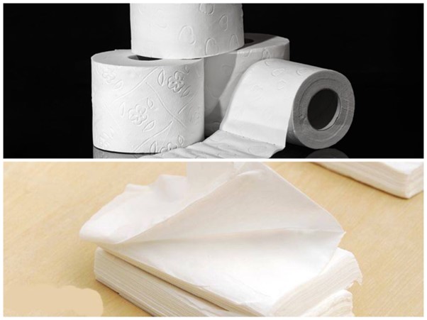 Địa chỉ kinh doanh giấy ăn giấy vệ sinh uy tín tại Bình Định